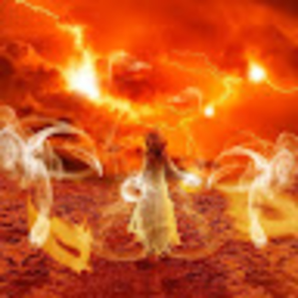 Meet your Posher, Carole